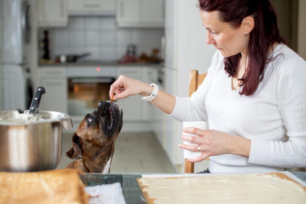 Czego nie mogą jeść psy?